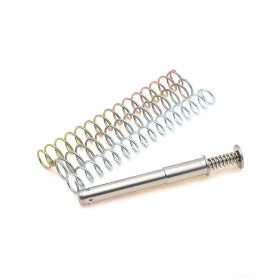 DPM MS-SI/4 SIG SAUER P 245 .45 ACP  Chez DEVILLE ARMORY. Votre armurerie en ligne.