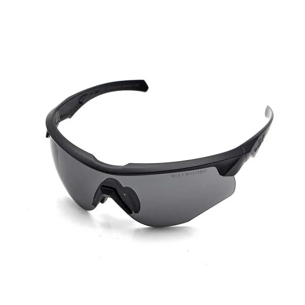 Lunettes à monture noire mate Wiley X 2852 ROGUE COMM gris/clair/rouille clair