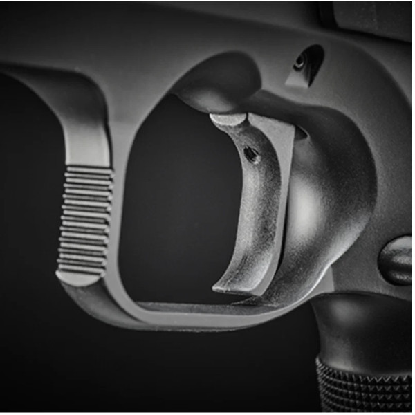 Pistolet CZ TS2 Entry 40SW  Chez DEVILLE ARMORY. Votre armurerie en ligne.