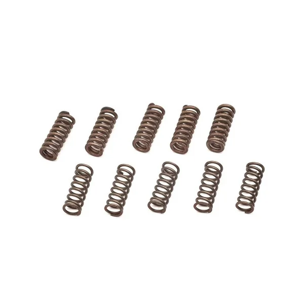 SCHEEL MFG RDBS Petit Ressort Kit pour GEN 2