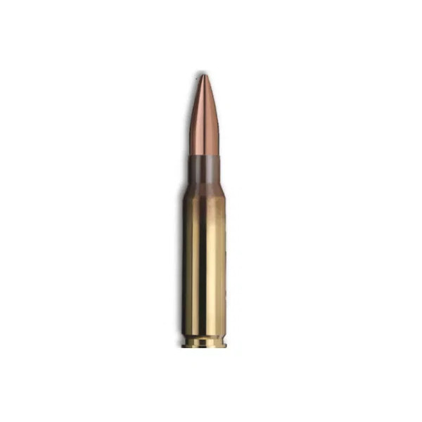 GECO .308 WIN 168gr TARGET HPBT /50  Chez DEVILLE ARMORY. Votre armurerie en ligne.