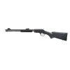 Rossi CARABINE GALLERY SYNTHETIQUE 22LR