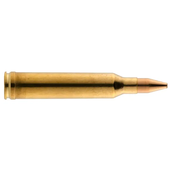  Cartouches RWS Cal. 7 mm Rem Mag