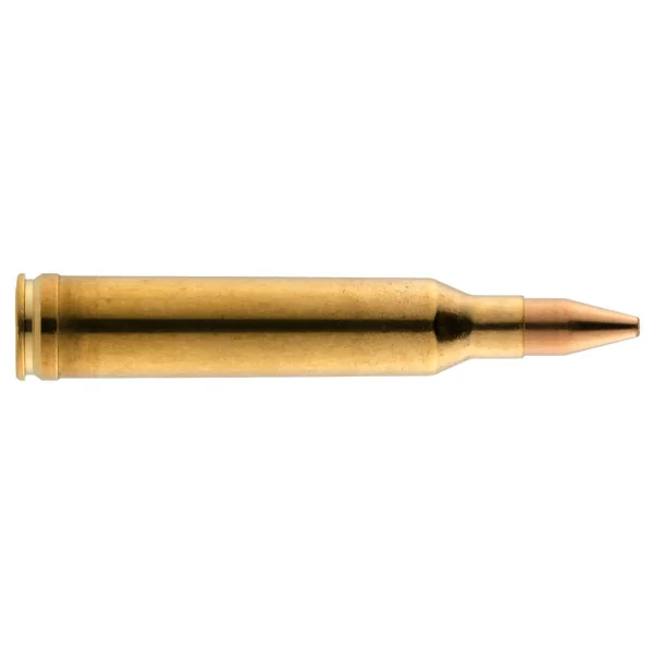 Cartouches RWS Cal. 7 mm Rem Mag