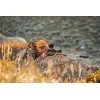 Burris LUNETTE LASERSCOPE VI BALLISTIC ELIMINATOR 4-20X52 DIAMETRE 34