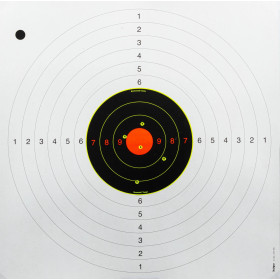 Cibles Shoot-N-C mix 50 cibles et pastilles  Chez DEVILLE ARMORY. Votre armurerie en ligne.