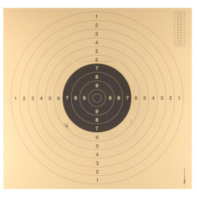 100 cartons-cibles C50 55 x 53 cm avec encoches  Chez DEVILLE ARMORY. Votre armurerie en ligne.