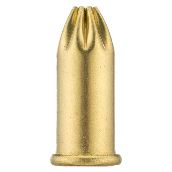 Boîte de 100 cartouches 22 LR à blanc