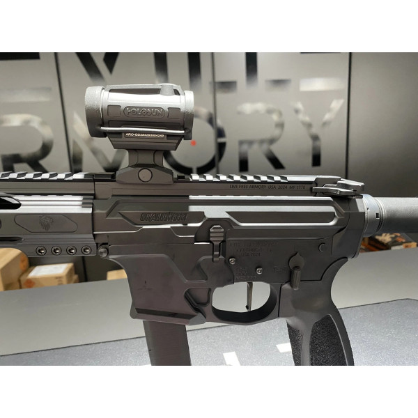 Carabine AR9 LFA Challenger Noir 16" 9X19 + Depart Triggertech + Holosun ARO  Chez DEVILLE ARMORY. Votre armurerie en ligne.