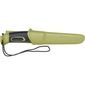 Companion Spark