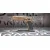 Pistolet Tanfoglio Heptagon FDE 9x19