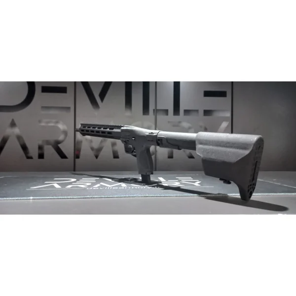 Carabine S&W FPC 16,25" 22Lr