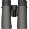JUMELLES LEUPOLD BX-2 ALPINE HD 10x42mm ROOF SHADOW GRAY 181177 - 3