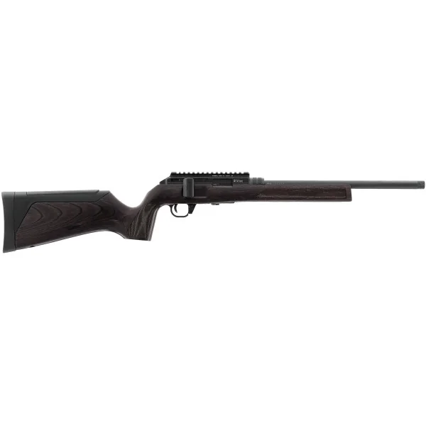Carabine HAMMERLI FORCE B1 grise 22Lr