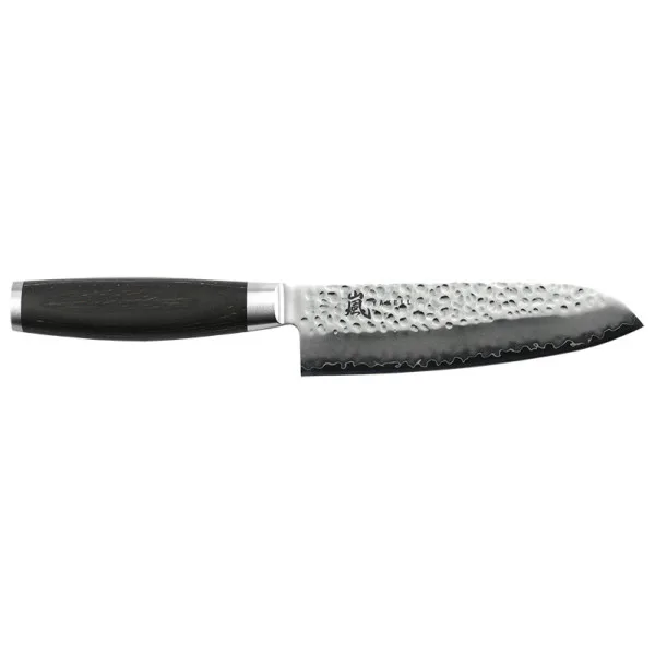 Taishi Santoku