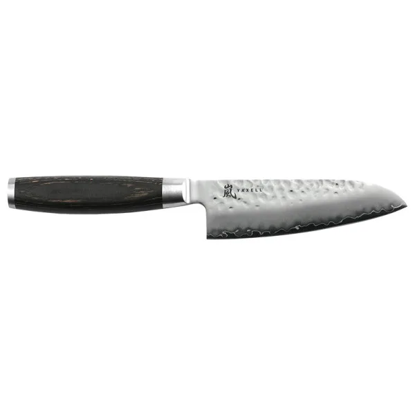 Taishi Santoku