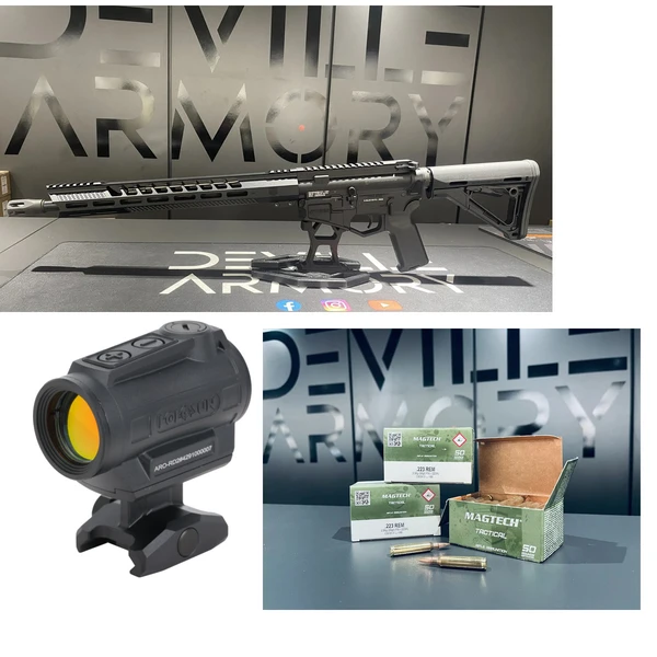 Pack AR15 Diamondback BBLC 16" + Holosun ARO + 100 cartouches