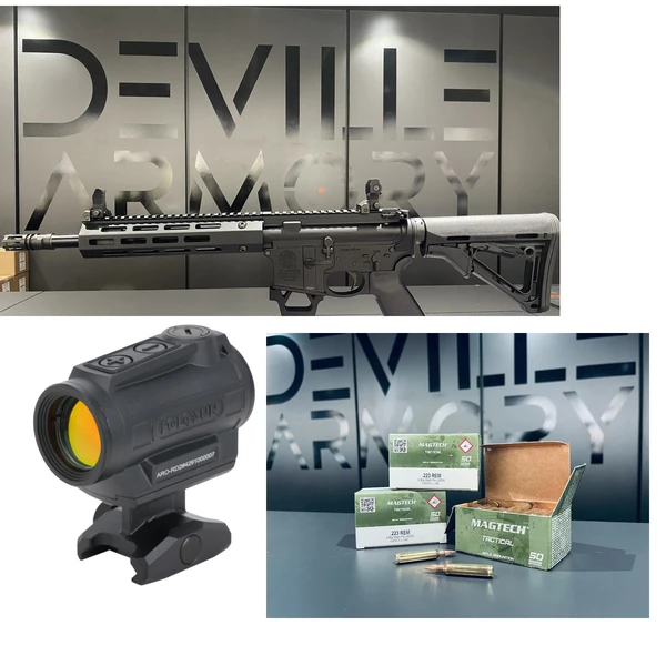 Pack AR15 S&W MP15T SBR 11,5" + Holosun ARO + 100 cartouches