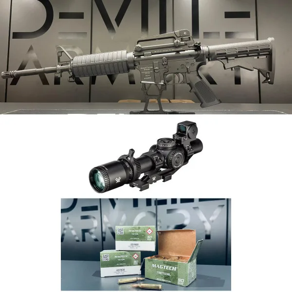 Pack AR15 Bavarian BTS-15 14,5" + Vortex Venom 1-6x24 + 100 cartouches