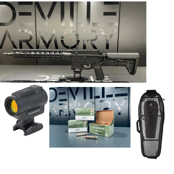 Pack complet AR15 PWS MK114 Mod 2 14,5" + Holosun ARO + housse