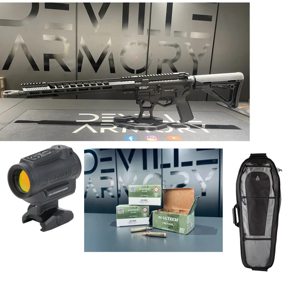 Pack complet AR15 Diamondback BBLC 16" + Holosun ARO + housse