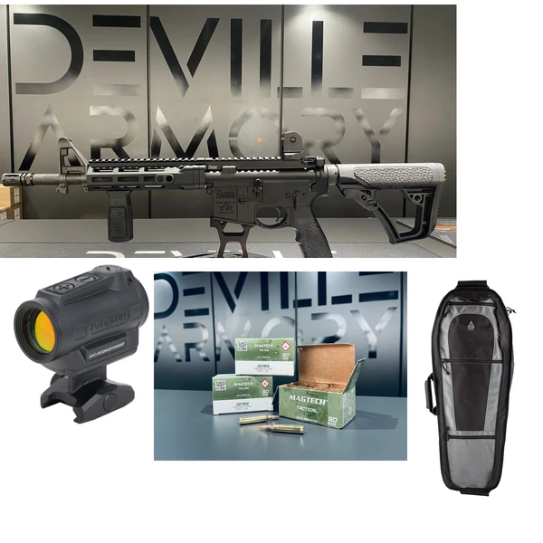 Pack complet AR15 Daniel Defense V7 GOV 11,5" + Holosun ARO + housse