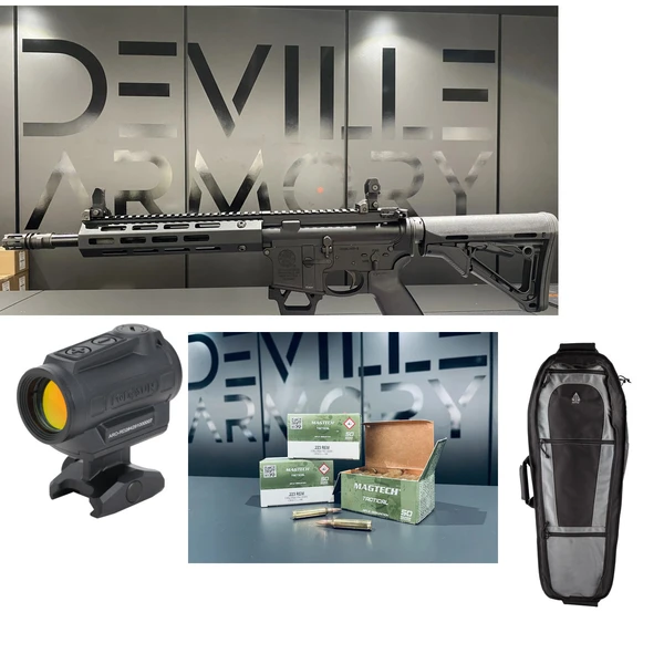 Pack complet AR15 S&W MP15T SBR 11,5" + Holosun ARO + housse