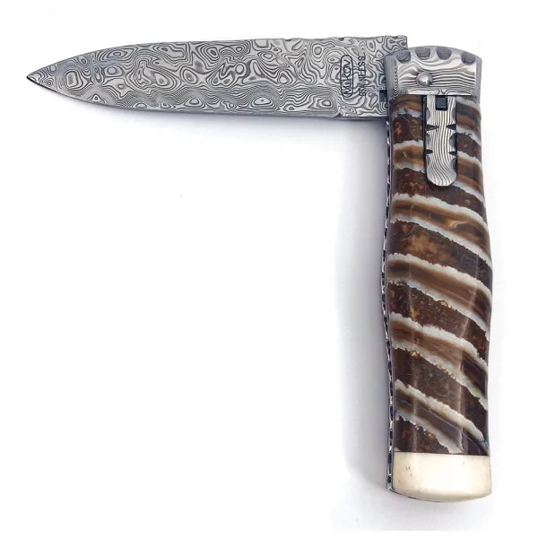 Predator