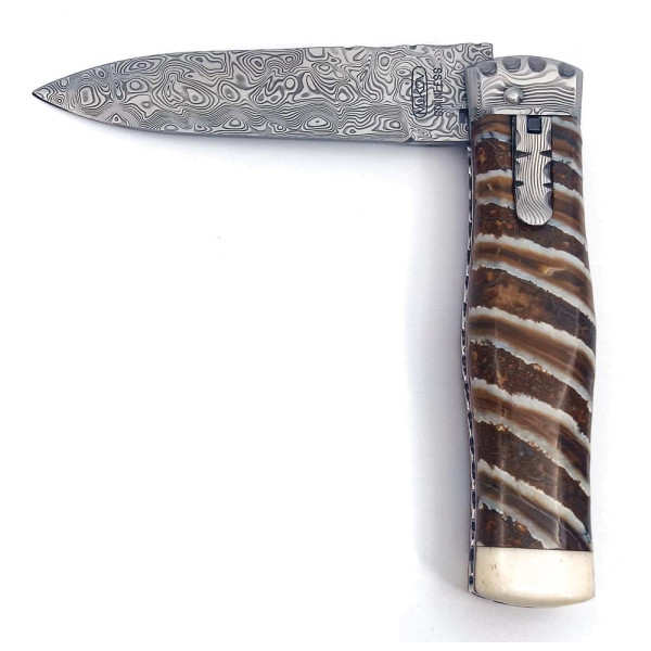 Predator