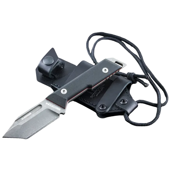 Proto Wild Tanto