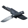 Raven III