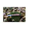 MAINKNIVES - 7000 - MUSHROOM KNIFE - 4