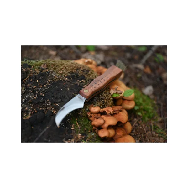 MAINKNIVES - 7000 - MUSHROOM KNIFE - 5