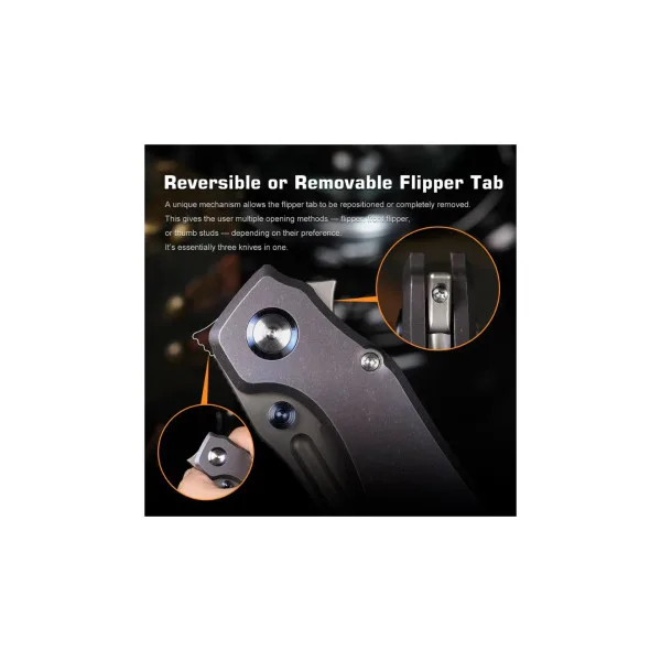 REMETTE KNIVES - DSTF-B - RT-TwoFace Knife - 2