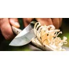 Bronco Mini Boker — Couteau fixe | Deville Armory
