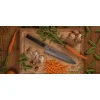 DENSHO Gyuto Kotai — Couteau de chef | Deville Armory