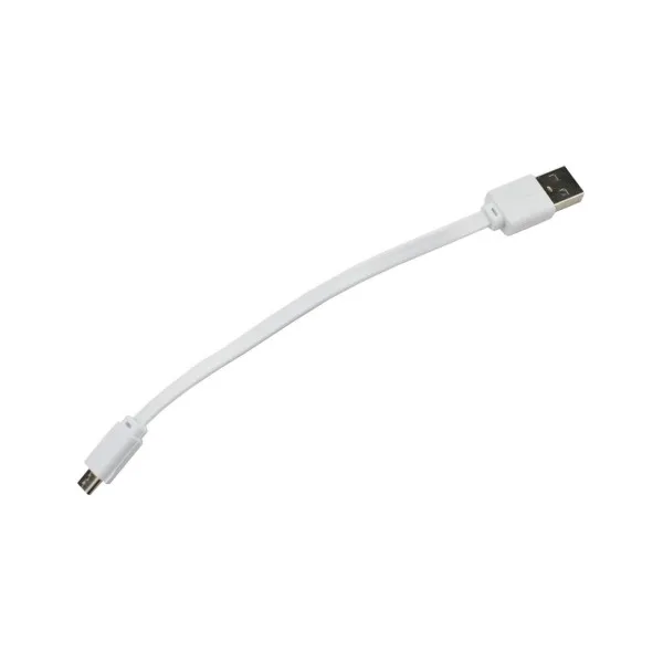 CASD - Câble Micro-USB