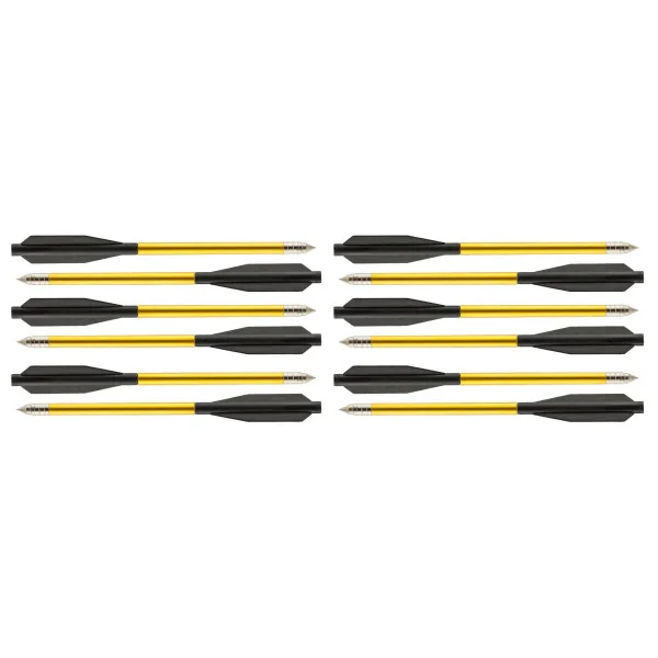 12 Fléchettes 6.5'' pour pistolets arbalète Shoot Again
