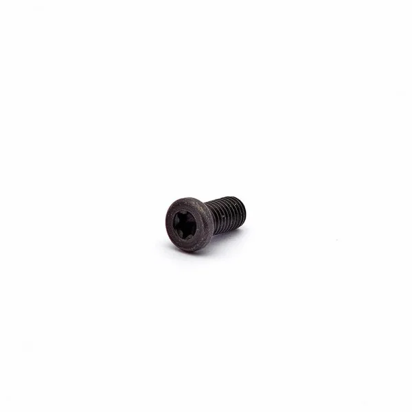 Spuhr S-1003 Recoil Screw SS-series (2 pcs)