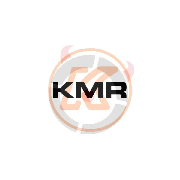 KMR Plaque Couvre-poussière CZ P-10 Acier Noir