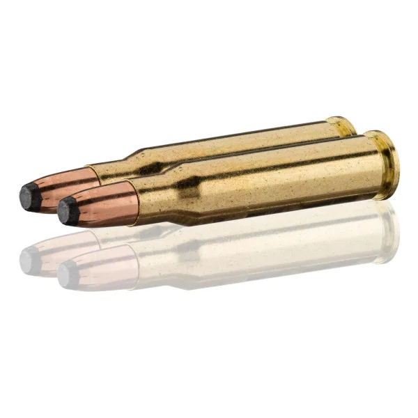 Sologne Cartouches Sierra Pro-Hunter FP Cal. 307Win