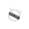 Ressort Plongeur Sécurité KMR pour W-02 VAPOR