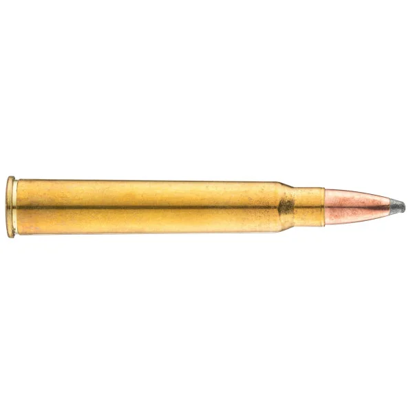 Cartouches à percussion centrale Sologne 30R Blaser