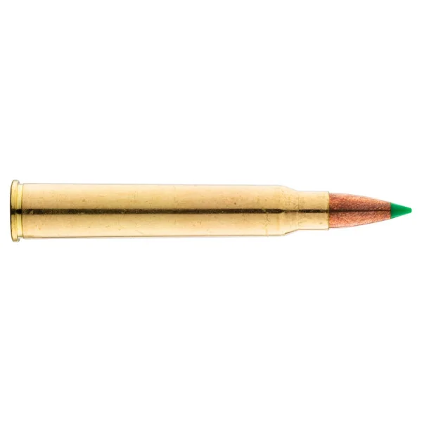 Cartouches à percussion centrale Sologne 30R Blaser