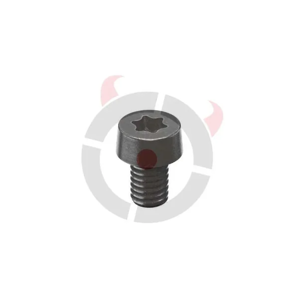 Vis de plaque de hausse KMR L-02 W-02