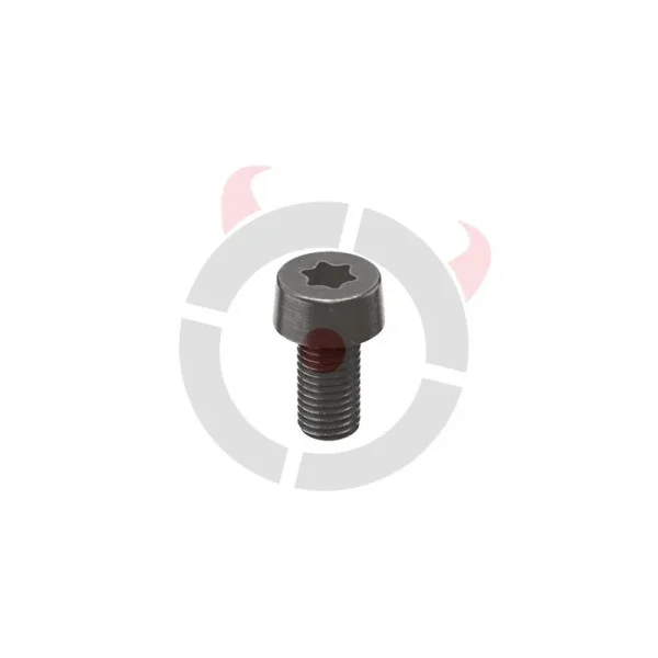 KMR Vis Plaque Recouvrement OR S-02
