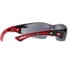 Lunettes BOLLE RUSH+ Platinum verres fumés noir LUNETTES BOLLE RUSH+ FUMEES PLATINIUM