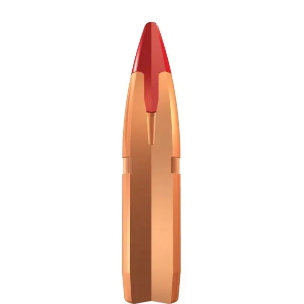 Cartouches Winchester cal . 300 Win Mag - grande chasse