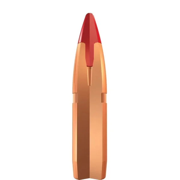 Cartouches Winchester cal . 300 Win Mag - grande chasse