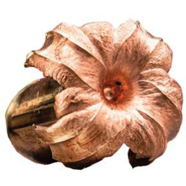 Cartouches Winchester cal . 300 Win Mag - grande chasse